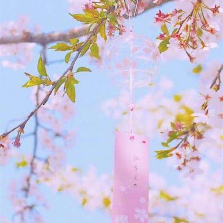相乐左之助（身份：前赤报队准队士、“恶”字背衣打手） - 独家访谈节目在线观看 - 云端看视频
